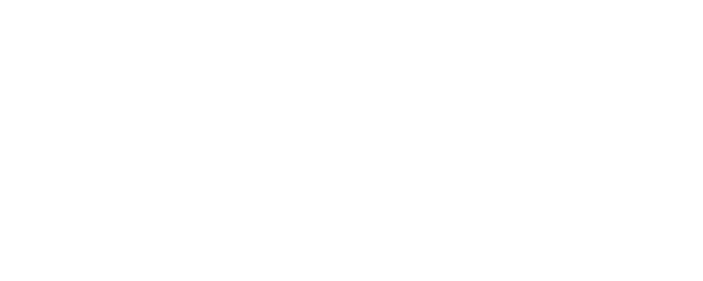 Infantry Division