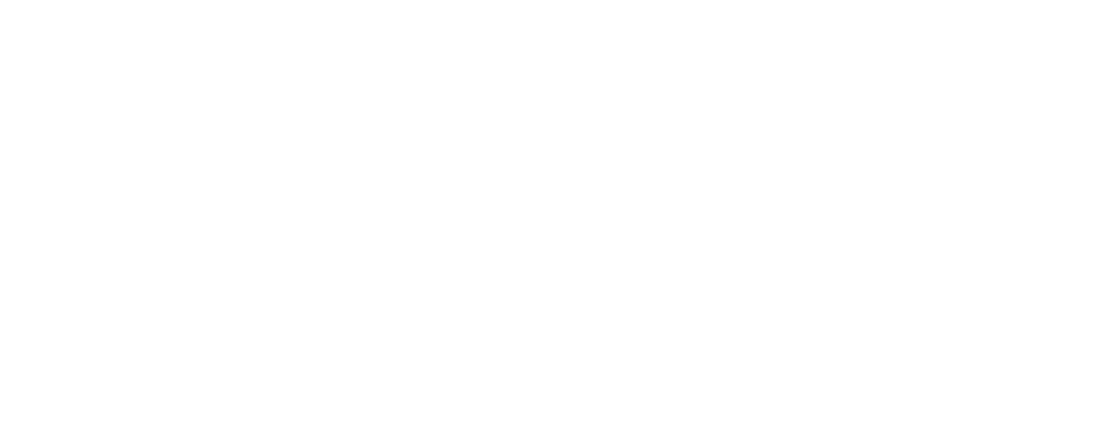Reconnaissance Regiment