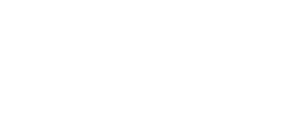 Infantry Division